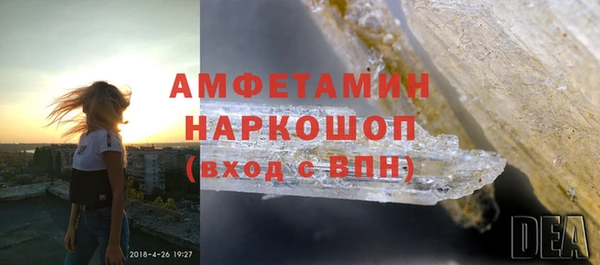 стаф Алзамай