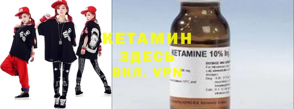 стаф Алзамай