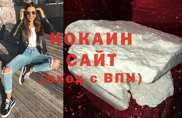 стаф Алзамай