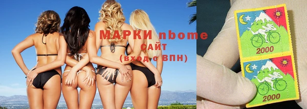 стаф Алзамай