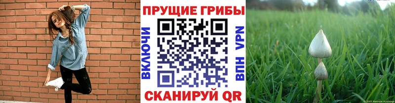 Галлюциногенные грибы ЛСД  где можно купить   Арамиль 